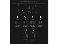 PRS SE CE24 Standard Satin Metallic Gold 2025 PRS SE CE24 Standard Satin Metallic Gold 2025
